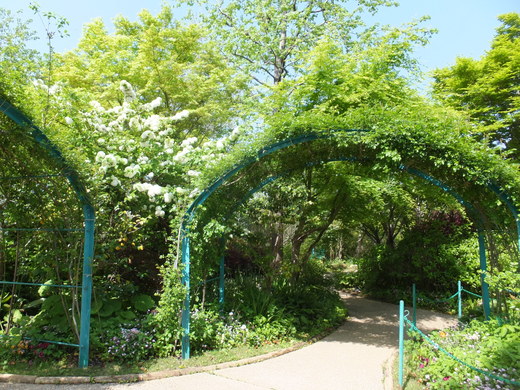 e0135518_15401822.jpg