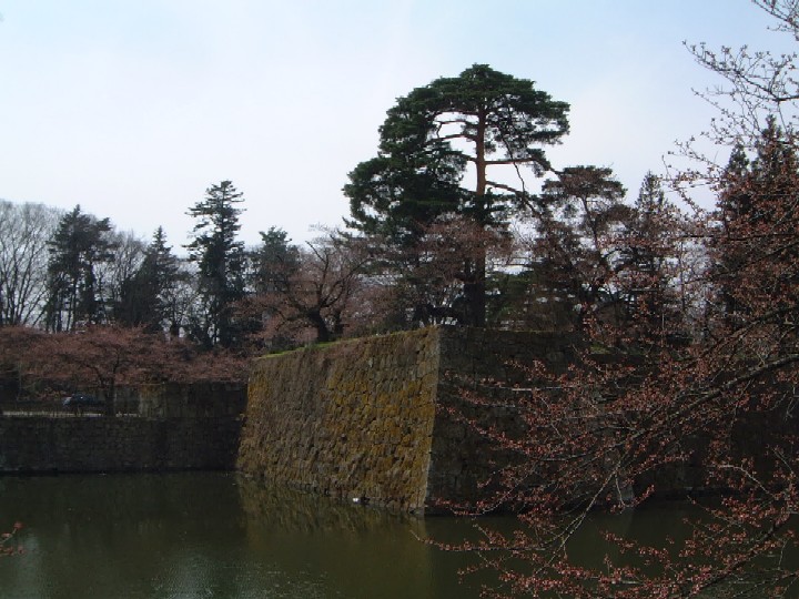 c0074721_1742847.jpg