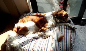 c0114929_1619319.jpg