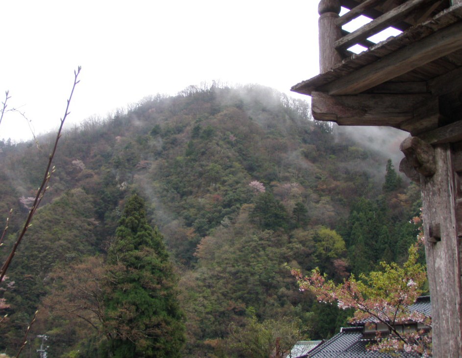 f0177529_20102214.jpg