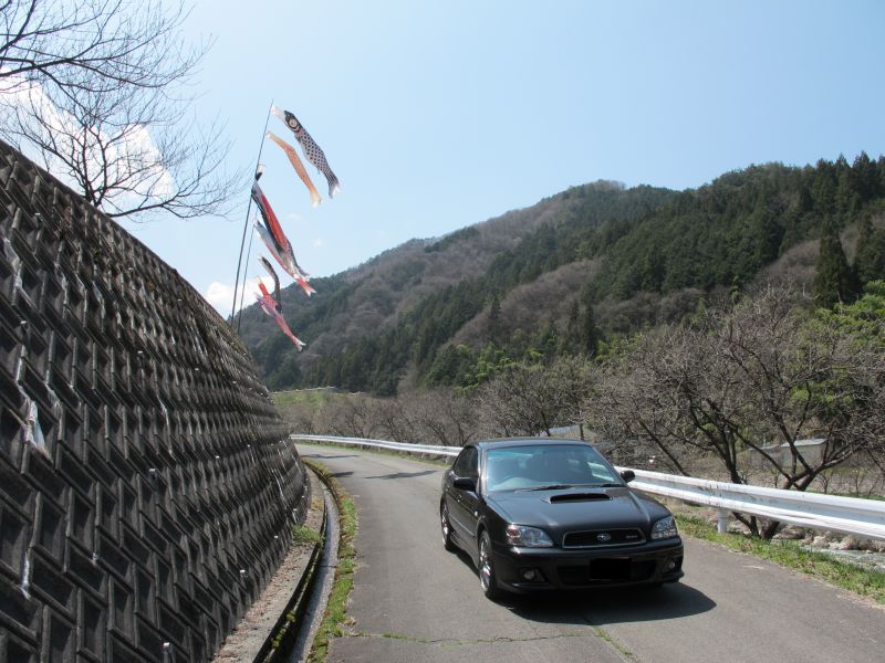 バードコールとS401_f0076731_16132937.jpg