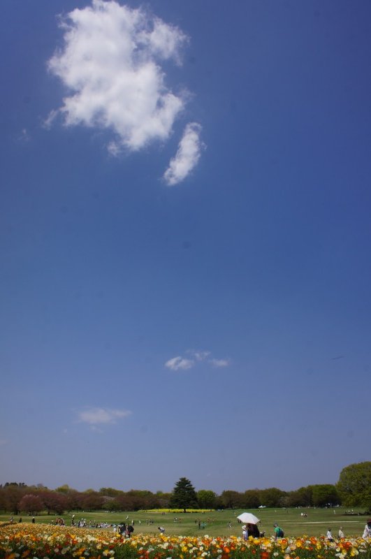 a0122932_2294897.jpg