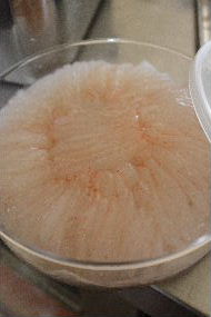 出張料理 vado in missione di cucina_a0059035_2204594.jpg