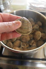 出張料理 vado in missione di cucina_a0059035_2232469.jpg