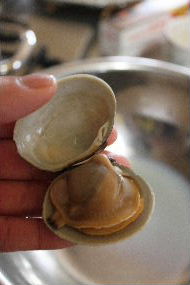 出張料理 vado in missione di cucina_a0059035_224012.jpg