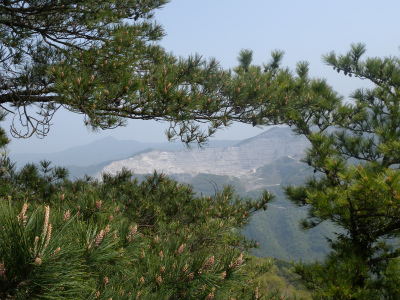 e0272335_62064.jpg