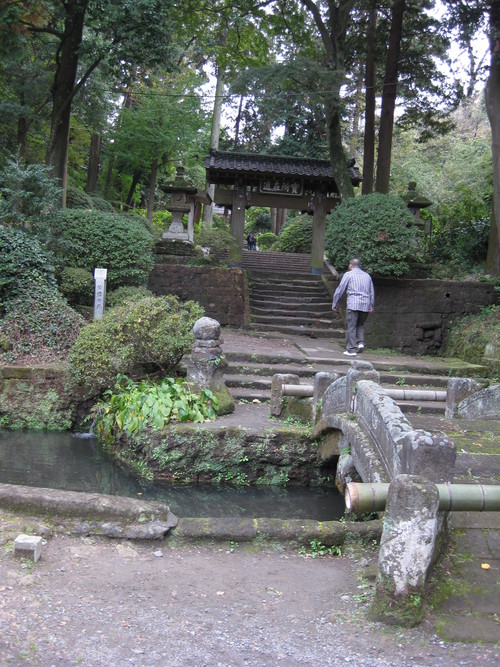 a0158236_8574278.jpg