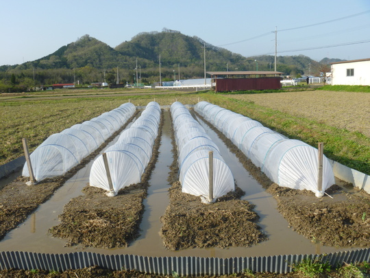  苗代づくり・・・初老の夫婦には重労働です。_b0246036_6594023.jpg