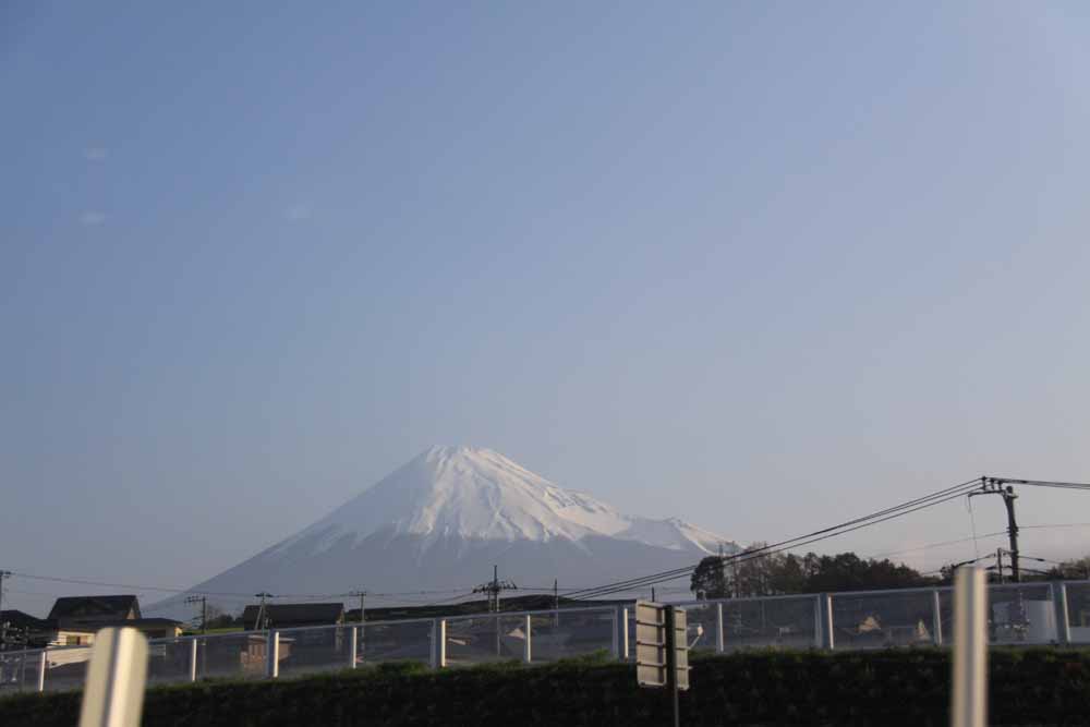 a0100137_2337317.jpg