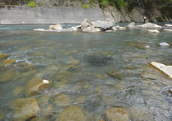 a0056140_11304121.gif