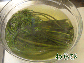 a0056140_13453472.gif