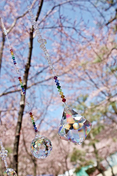 New Sun Catcher☆:.｡..｡.:＊with sakura+Mt.fuji_d0194741_22461993.jpg