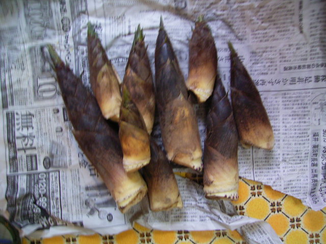 f0040342_14151959.jpg