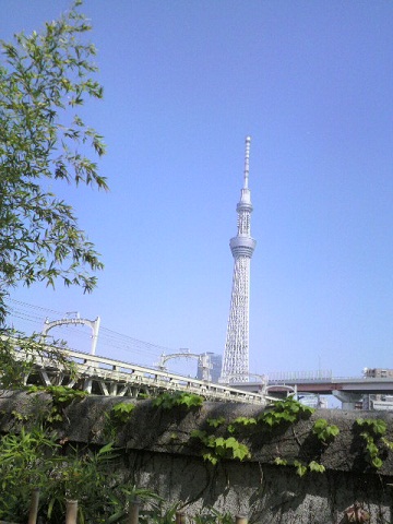 f0073848_005885.jpg