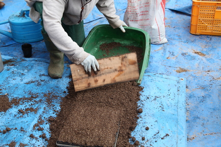  土から学ぶ～永続可能な自然菜園講座〜春〜最終日_b0240649_15274765.jpg