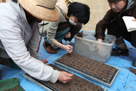  土から学ぶ～永続可能な自然菜園講座〜春〜最終日_b0240649_15335349.jpg