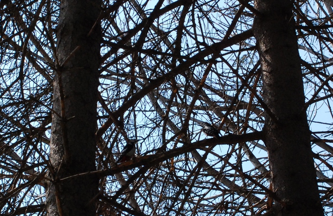 a0238350_197119.jpg