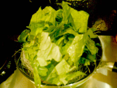e0033751_17494510.jpg