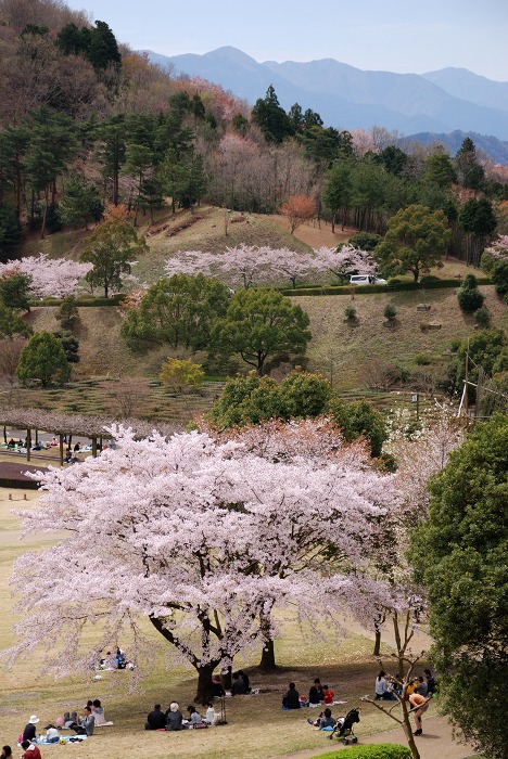 神山イルローザの森　１_f0032753_21244981.jpg