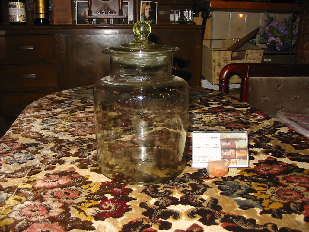 d0195861_1753517.jpg