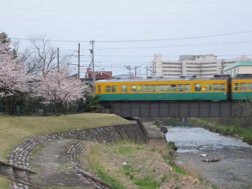 地鉄でさくら☆稲荷町駅_a0243562_1755208.jpg