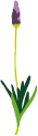 c0219162_19552083.gif