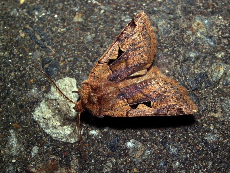 b0130166_2081259.jpg