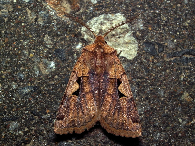 b0130166_2084711.jpg