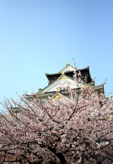 SAKURA　～桜の散歩～2_e0155066_10392116.jpg