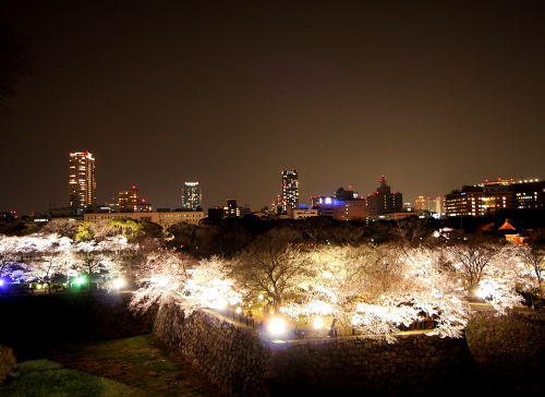 SAKURA　～桜の散歩～2_e0155066_1446354.jpg