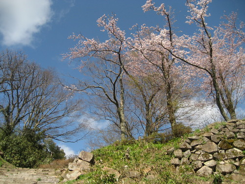 a0120468_20432379.jpg