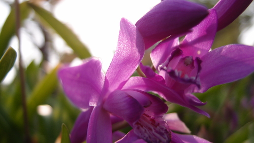 e0024081_213357.jpg