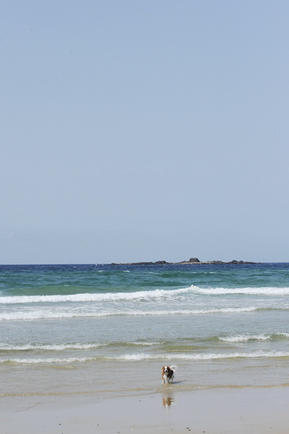f0112087_17562214.jpg