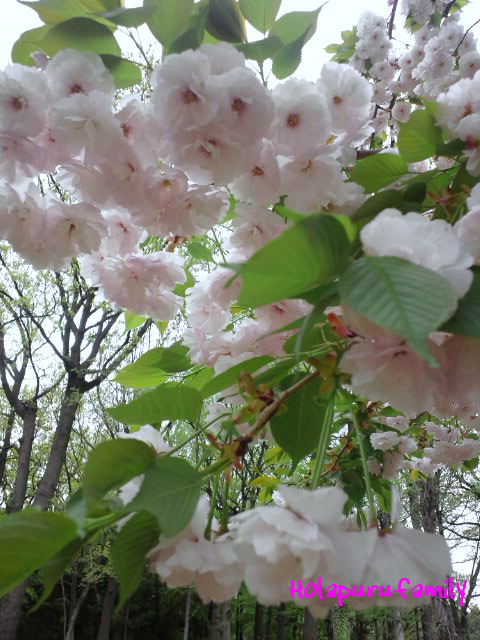 b0238691_021384.jpg