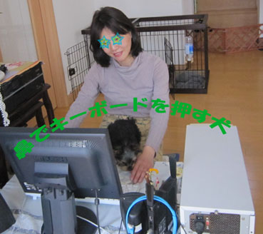 お膝好き♪_e0125894_22351040.jpg
