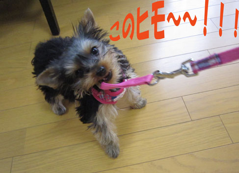 お膝好き♪_e0125894_22445382.jpg