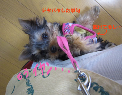 お膝好き♪_e0125894_2246199.jpg