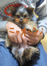 お膝好き♪_e0125894_2311636.jpg