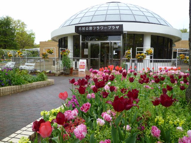 名城公園フラワープラザにて採蜜イベント まちづくり活動記録 名古屋学院大学水野 名城公園フラワープラザにて採蜜イベント まちづくり活動記録 名古屋学院大学水野