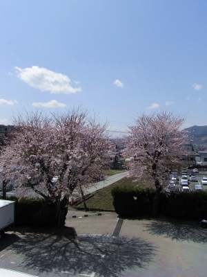 c0193896_1324371.jpg
