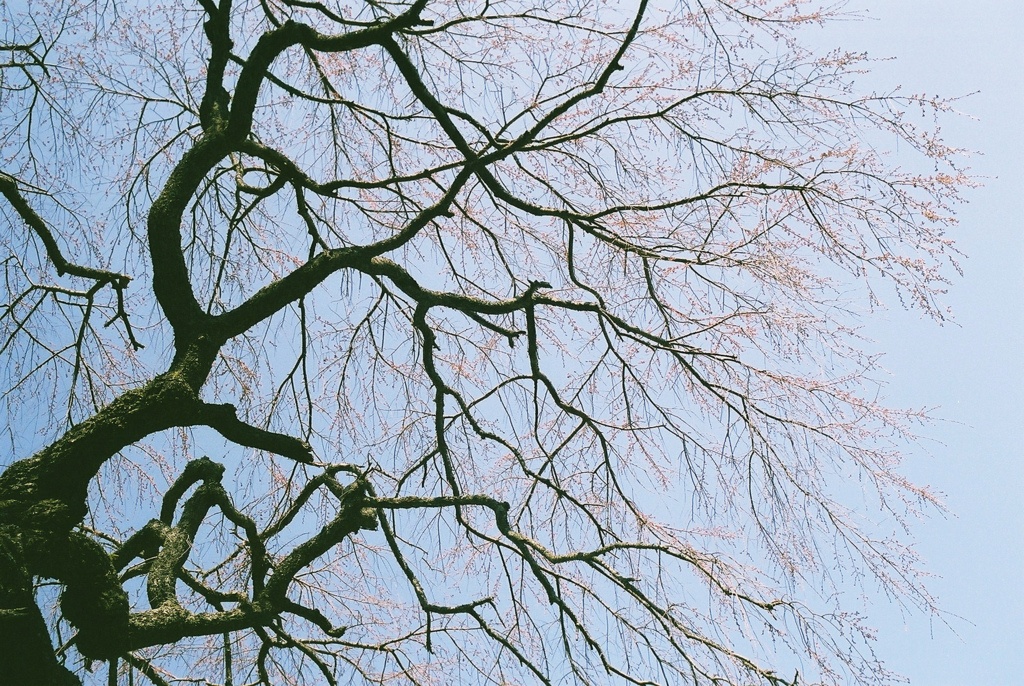 b0138101_20111268.jpg