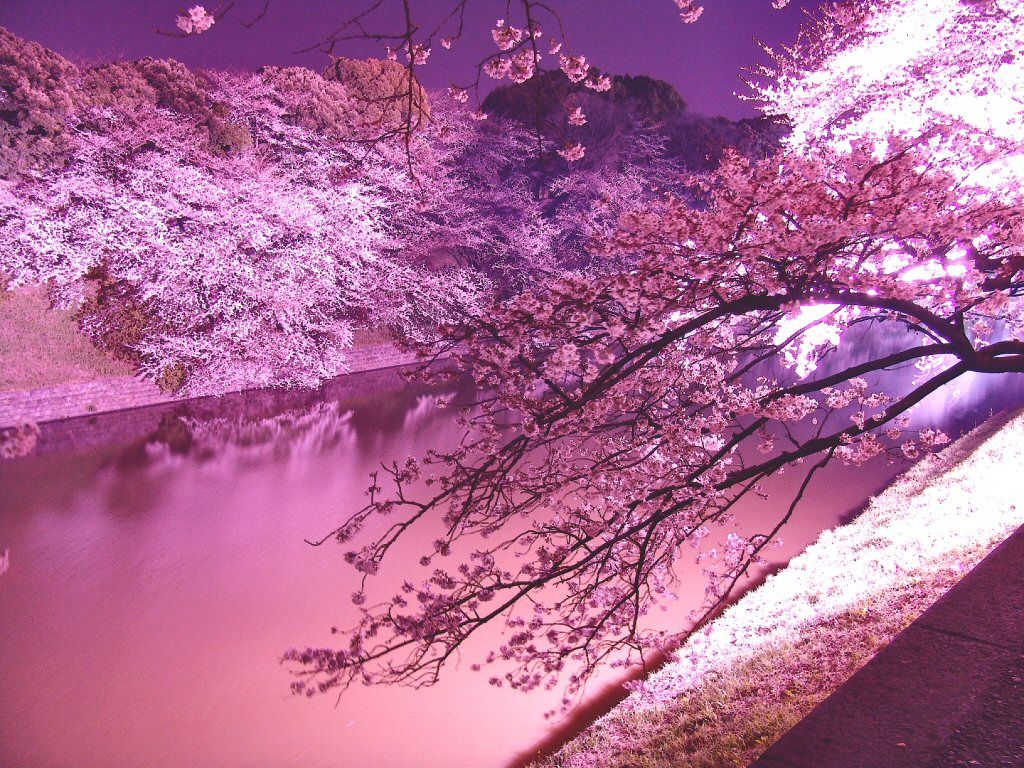 景色の形式 68 風流荘風雅屋 景色の形式 68 風流荘風雅屋