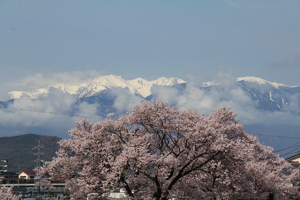 高遠の桜を見下ろす「高遠白山」と「五郎山」へ！絶景かな、絶景かな