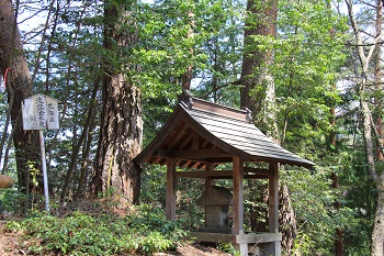 高遠の桜を見下ろす「高遠白山」と「五郎山」へ！絶景かな、絶景かな…_a0158702_14542392.jpg