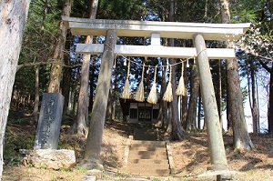 高遠の桜を見下ろす「高遠白山」と「五郎山」へ！絶景かな、絶景かな…_a0158702_16353950.jpg