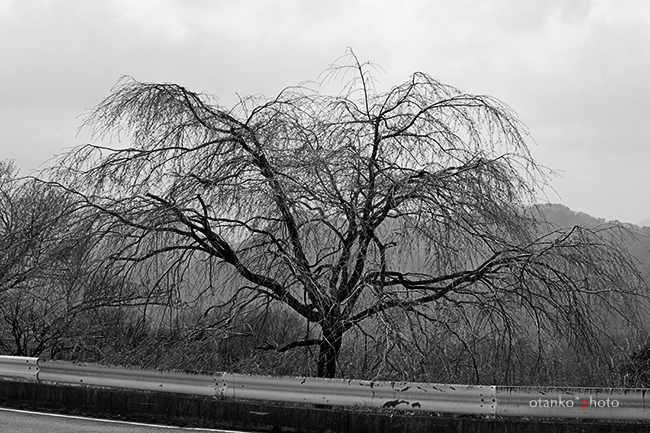 f0228502_1116473.jpg
