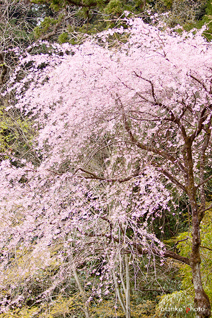 f0228502_11241253.jpg