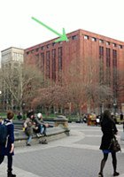 今年も鷹の赤ちゃんがニューヨーク大学の窓で生まれました!_b0007805_23223642.jpg