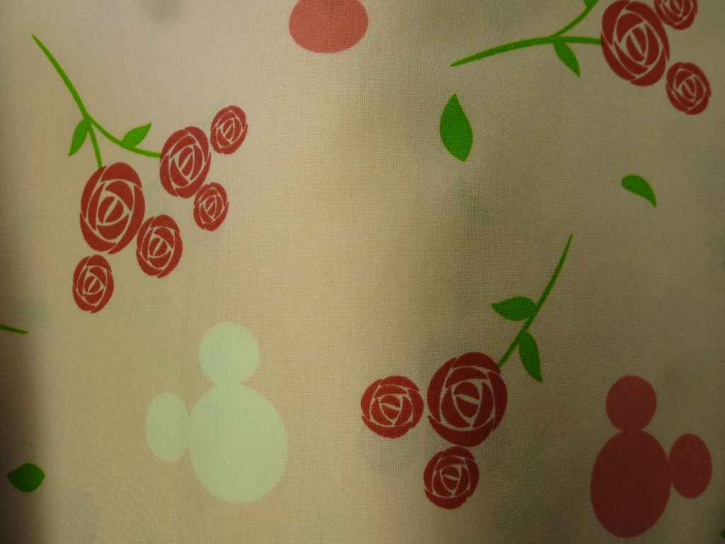 キャラクターコットン入荷_d0156706_182551100.jpg