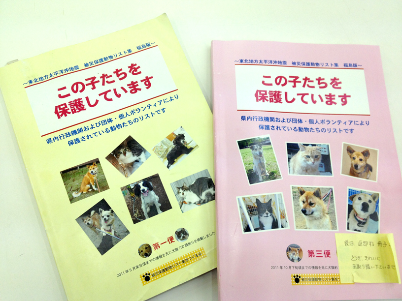 「震災で消えた小さな命展」明日から東京会場です_e0239908_21401369.jpg